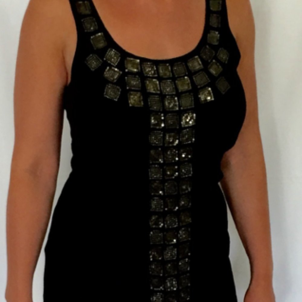 Haute Hippie Studded Dress